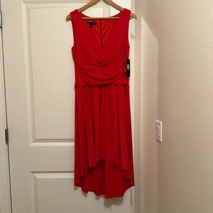 Ivy + blu dress